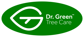 Dr Green - Cabstar grx Nov 2020 - 2